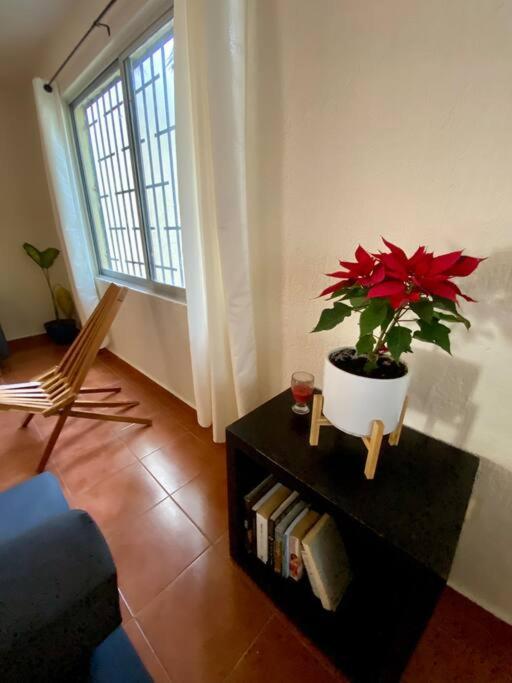 Peach35 Apartamento Centrico, 5 Min De La Playa Cancun Luaran gambar